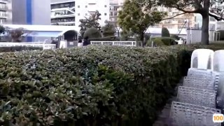 与一对兴奋的情侣在三人行中口交和射精
